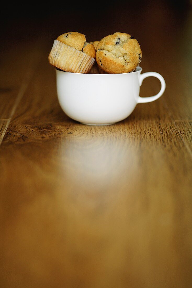 Several chocolate chip muffins in a cup