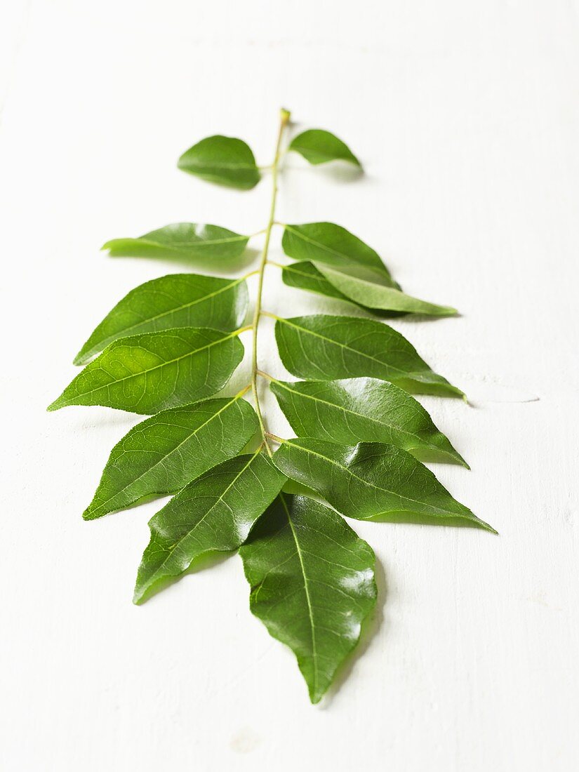 Curry leaves