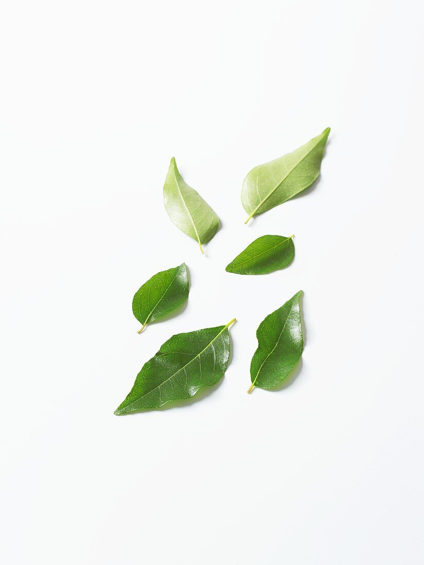 Six curry leaves