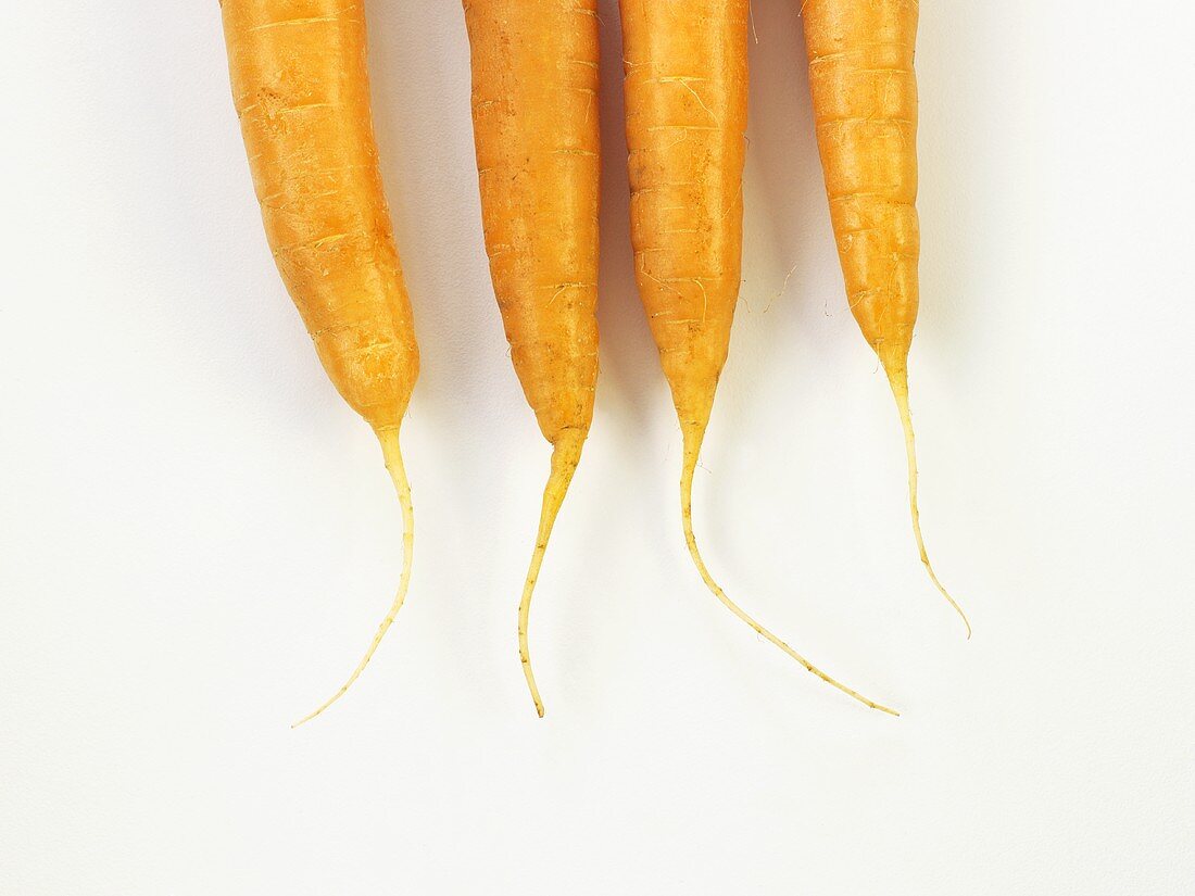 Four carrots (root ends)