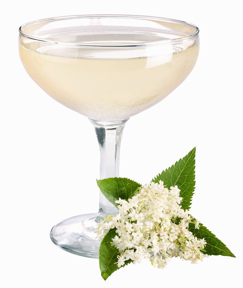 A glass of champagne with elderflower syrup & elderflowers