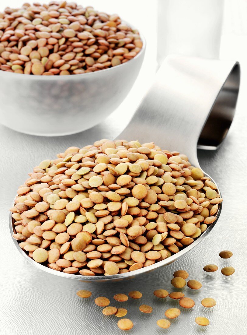 Lentils on a spoon and in a glass bowl