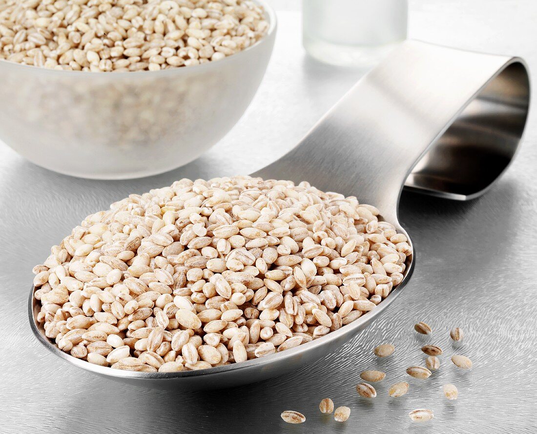 Pearl barley on a spoon and in a glass bowl