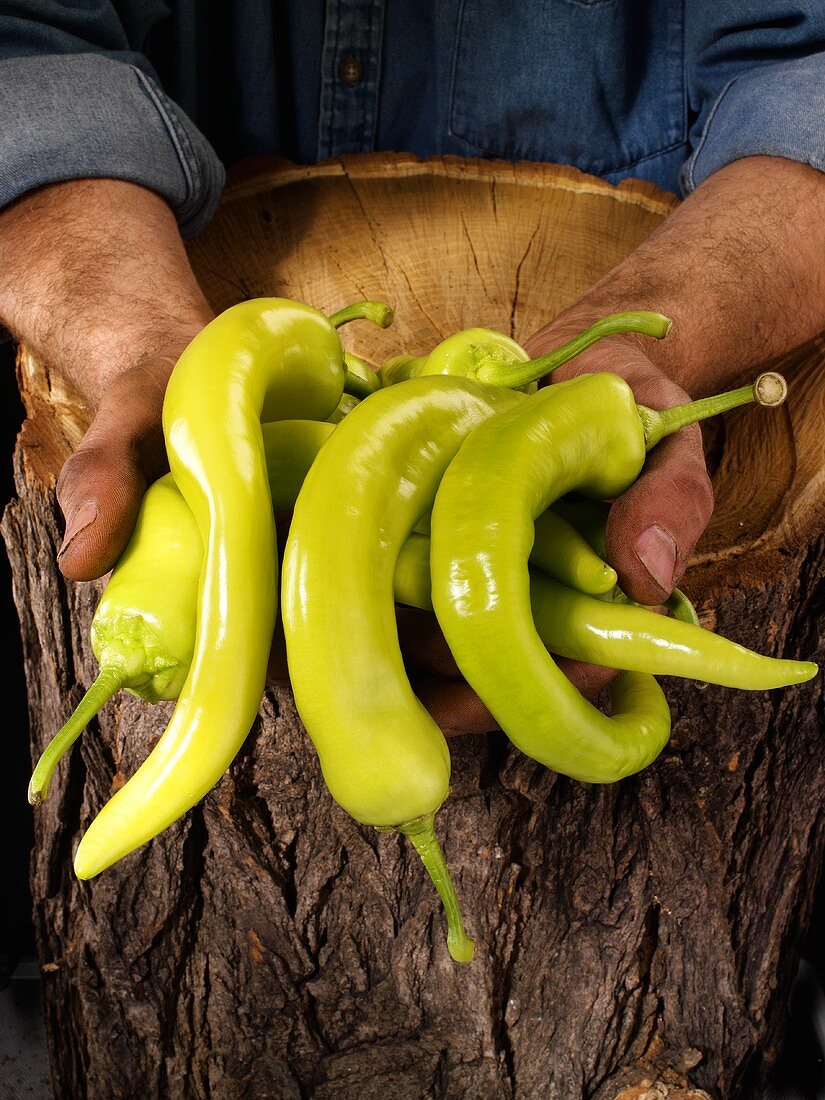 Man holding green chillies in both hands