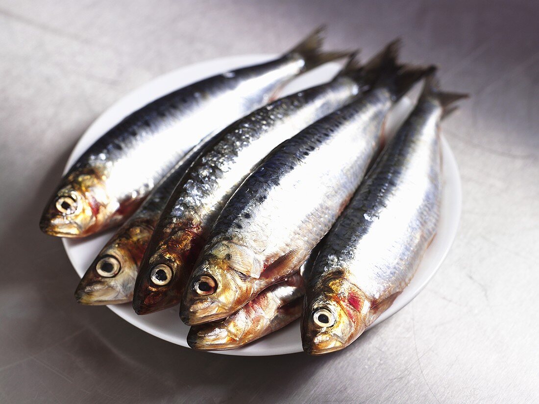 Six sardines on a plate