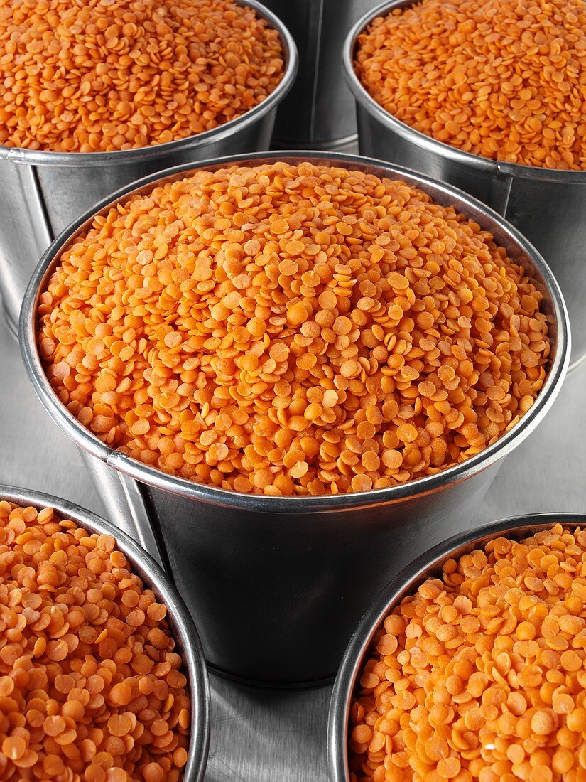 Red lentils in buckets