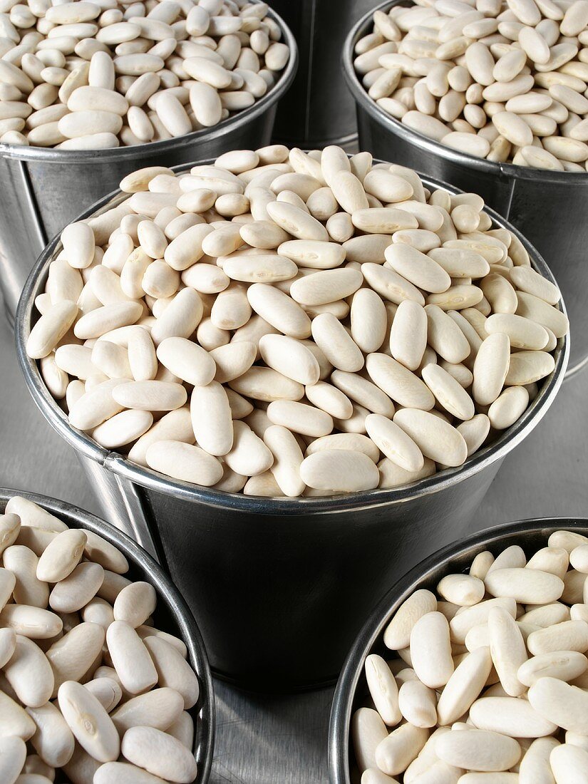 Dried, white beans in buckets