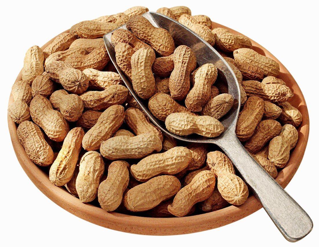 Peanuts in a terracotta dish with scoop