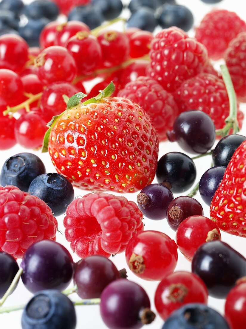 Mixed, fresh berries in close-up, full-frame