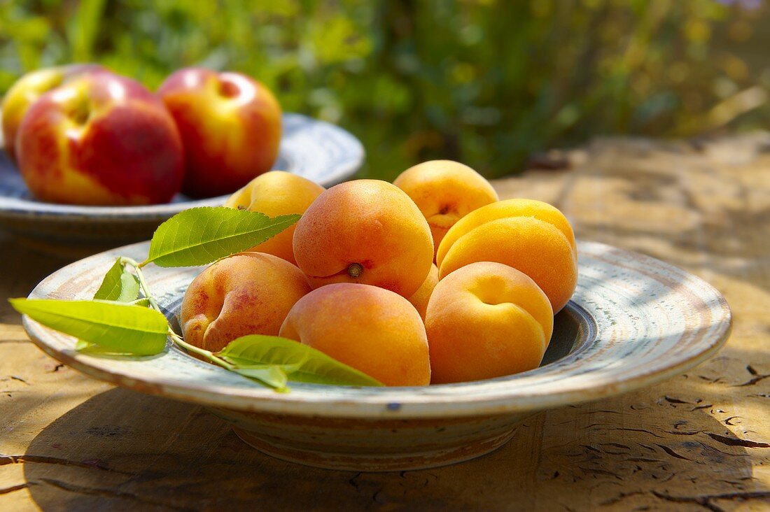 Aprikosen und Nektarinen auf Tellern im Freien