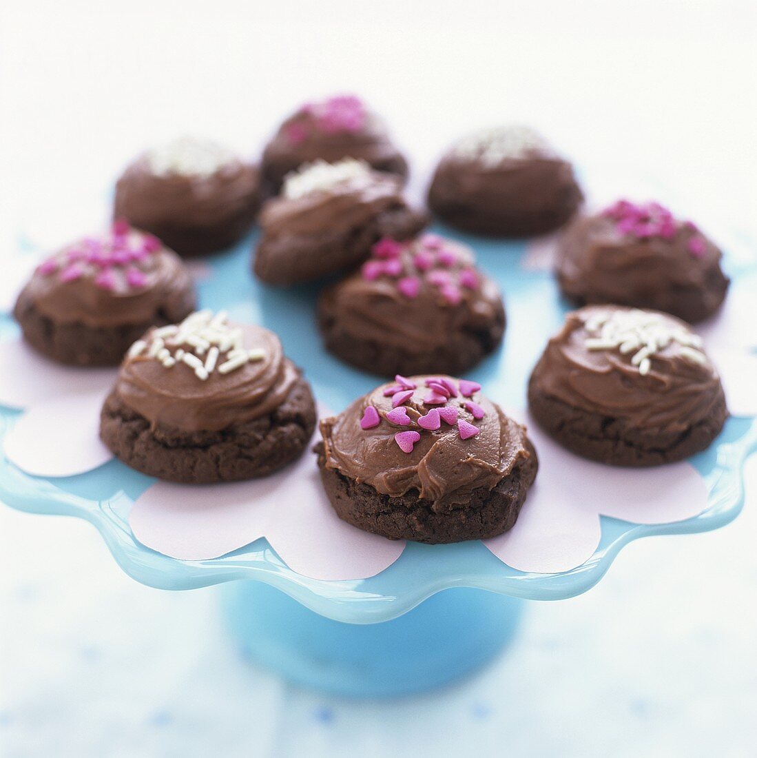 Chocolate biscuits with chocolate icing and sprinkles