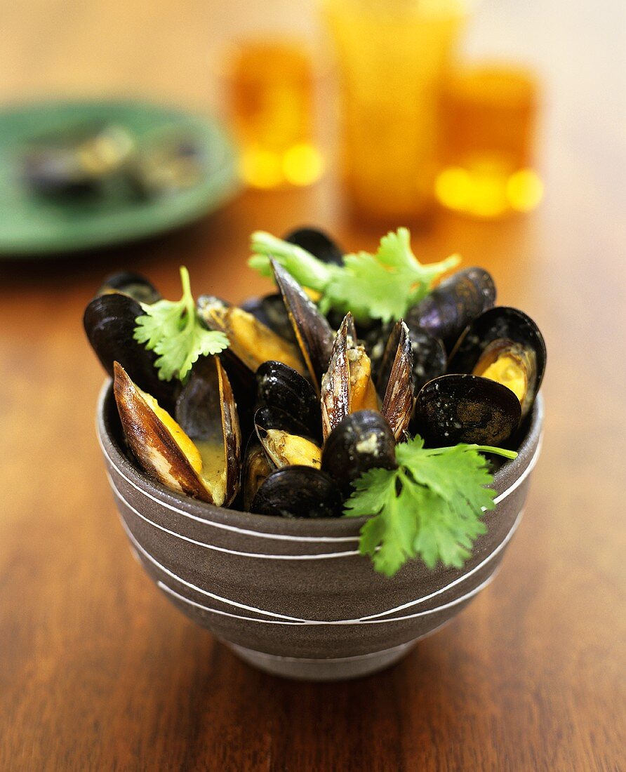 Mussels in stock with fresh coriander