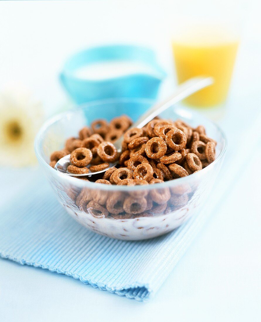 Schoko-Cerealien mit Milch zum Frühstück