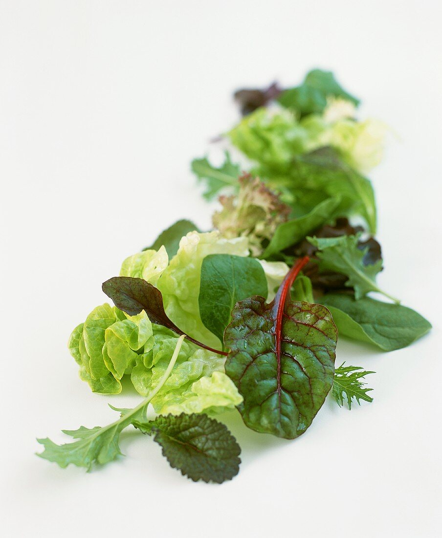 Assorted salad leaves