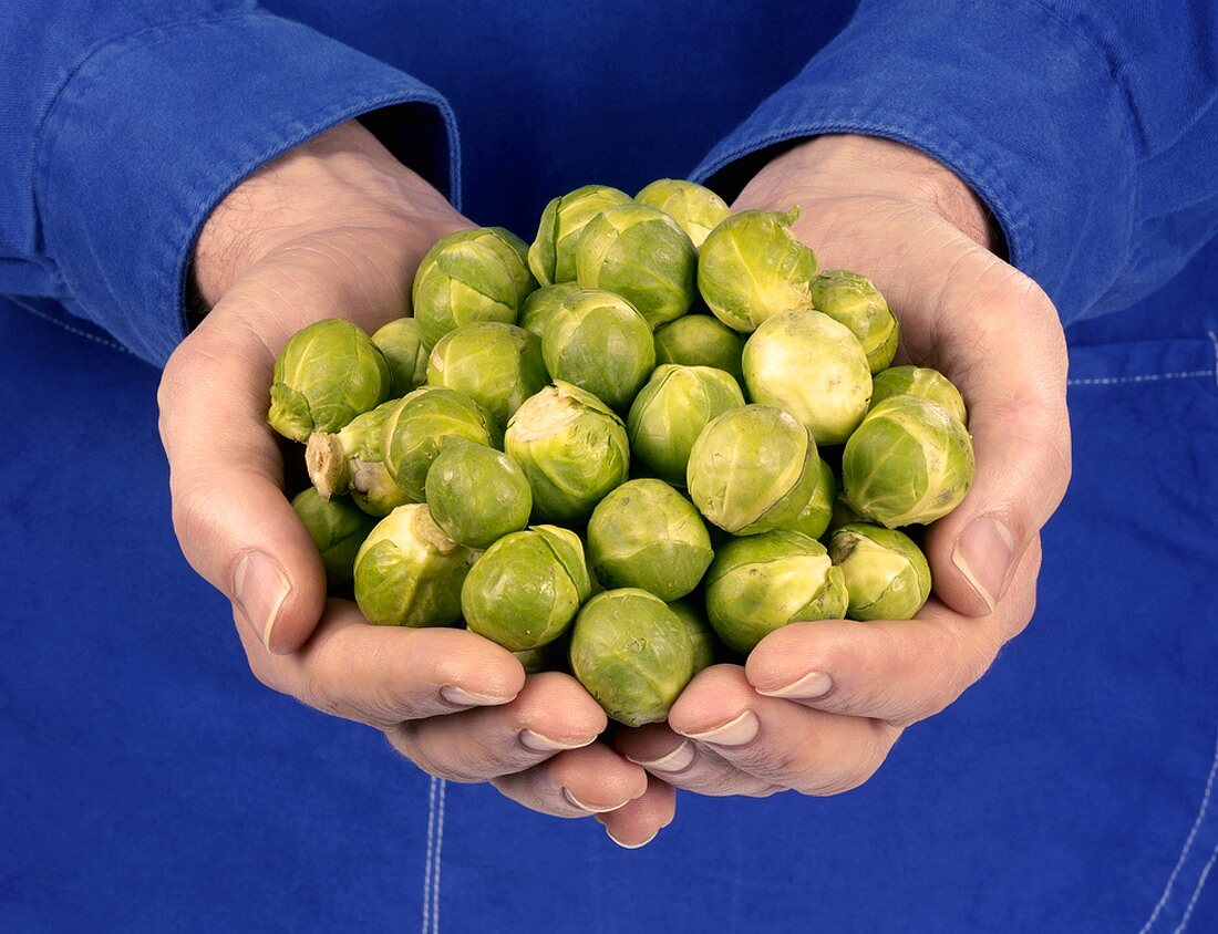 Hands holding fresh Brussels sprouts