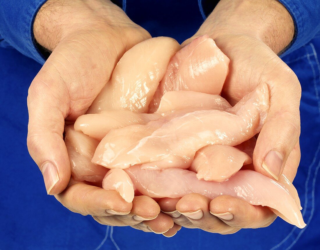 Hände halten frische Hähnchenfilets