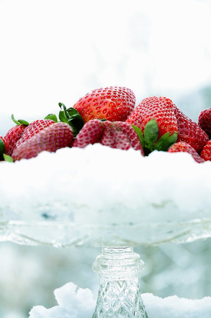 Glasschale mit frischen Erdbeeren im Schnee