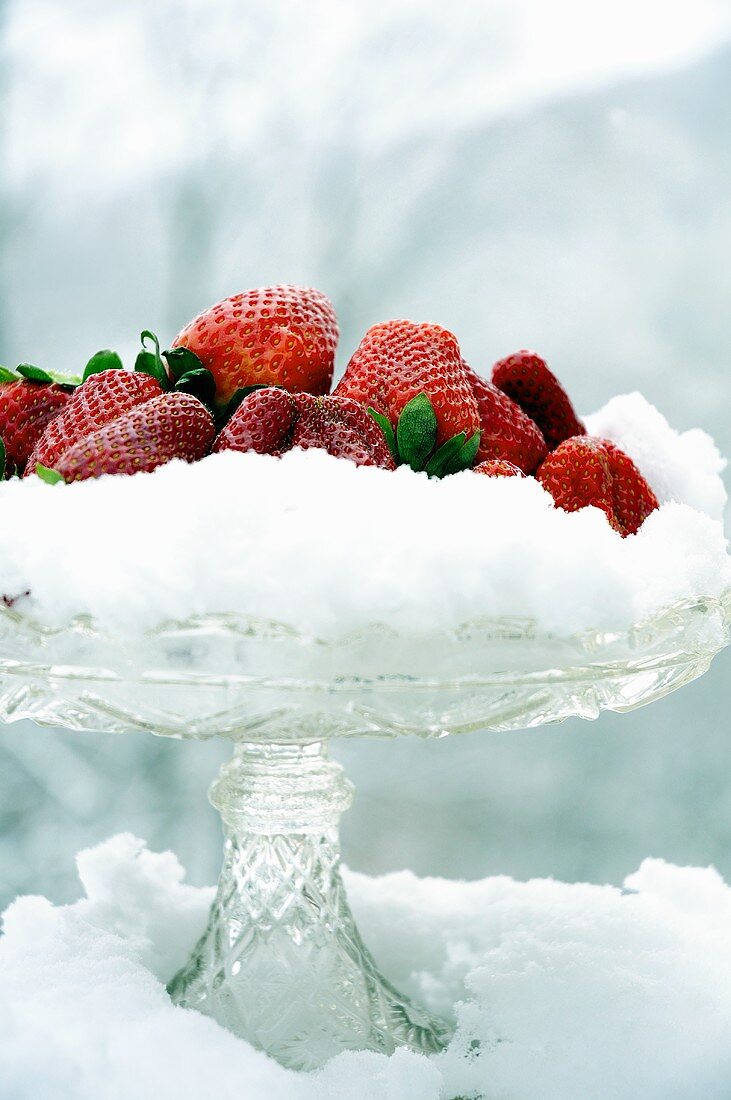 Glasschale mit frischen Erdbeeren im Schnee