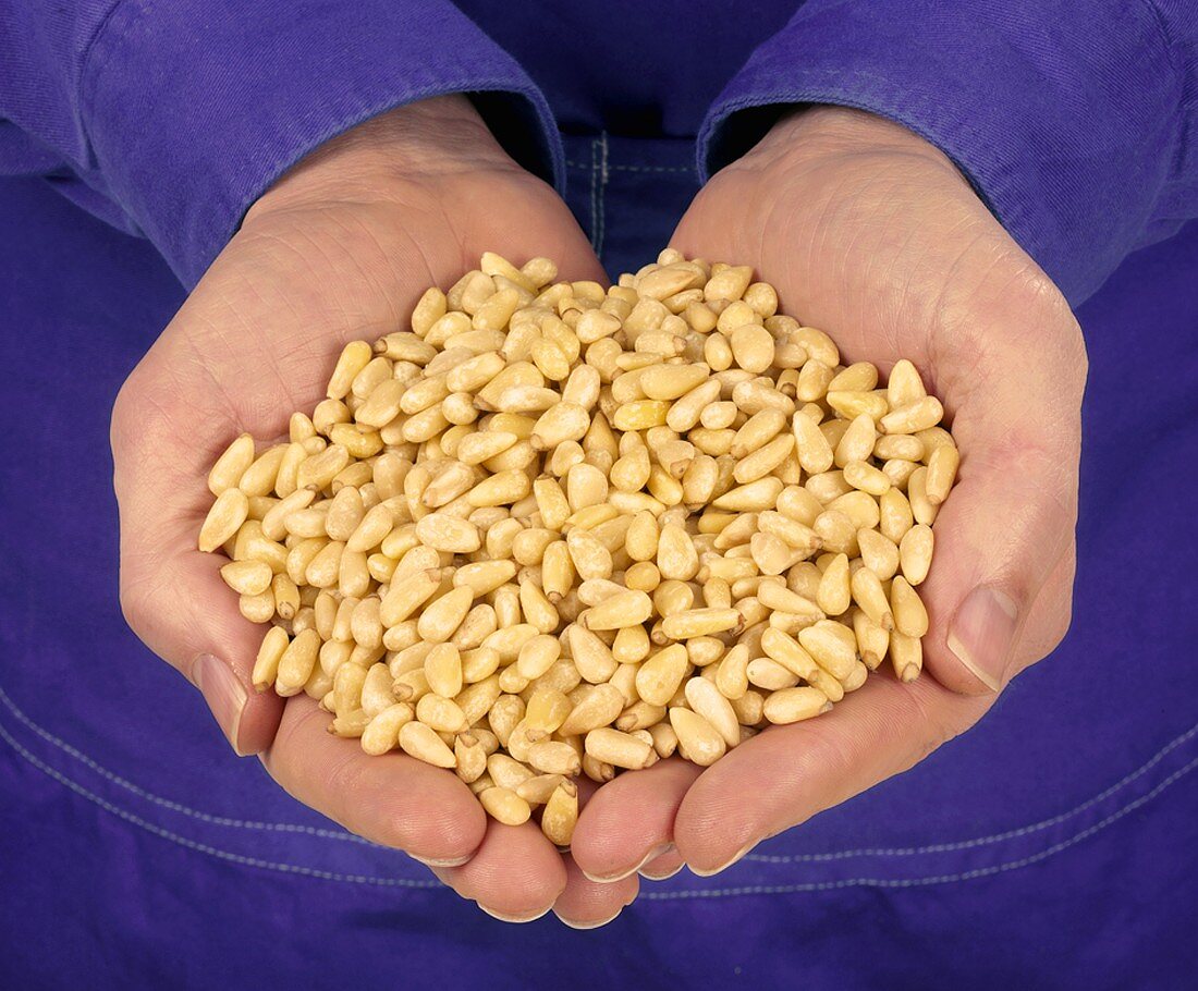 Hands holding pine nuts