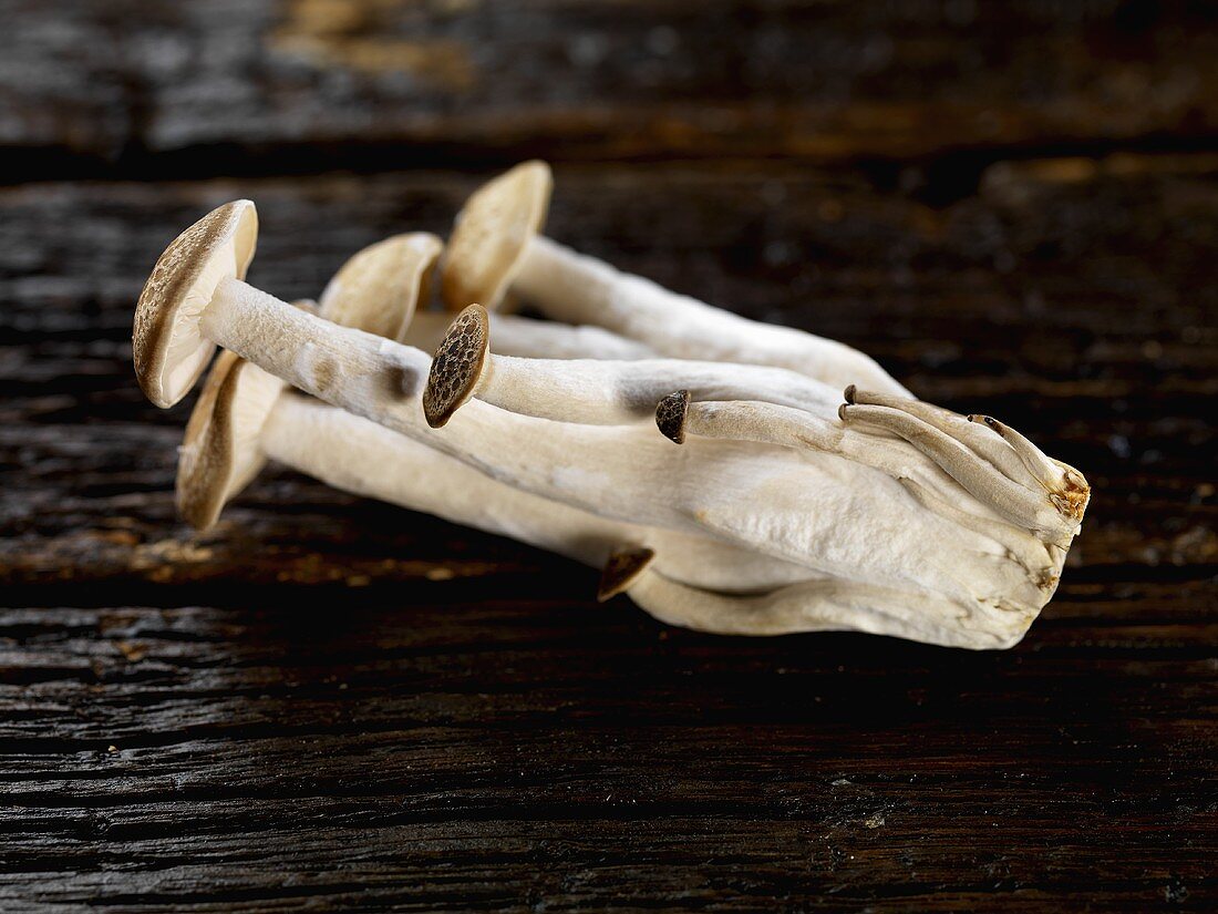 Shimeji mushrooms on wooden background