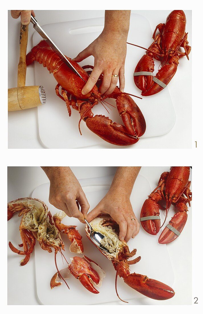 Disjointing a cooked lobster, cutting in half lengthways