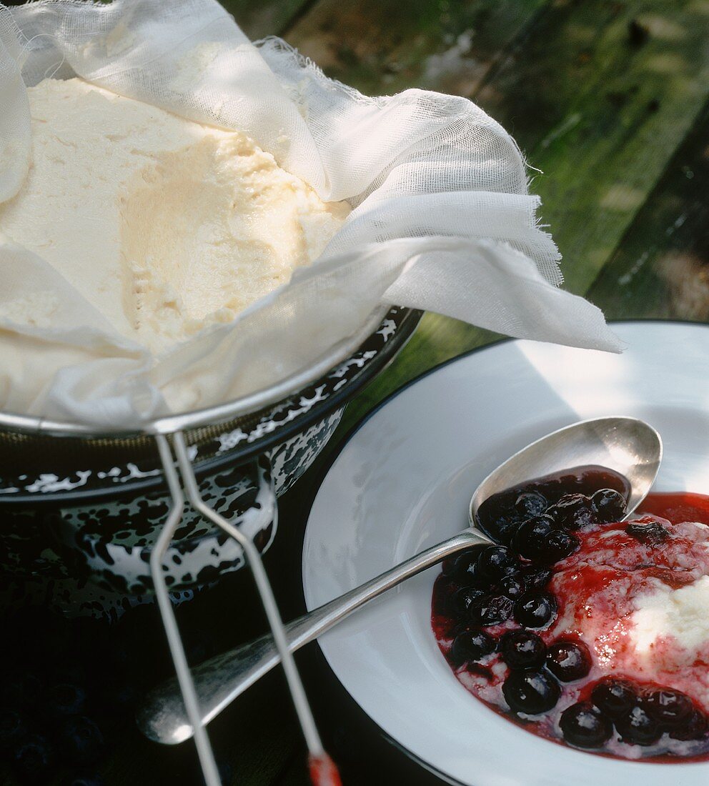 Blaubeerdessert mit Frischkäse