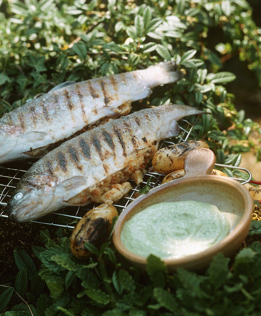 Grilled rainbow trout with a herb dip