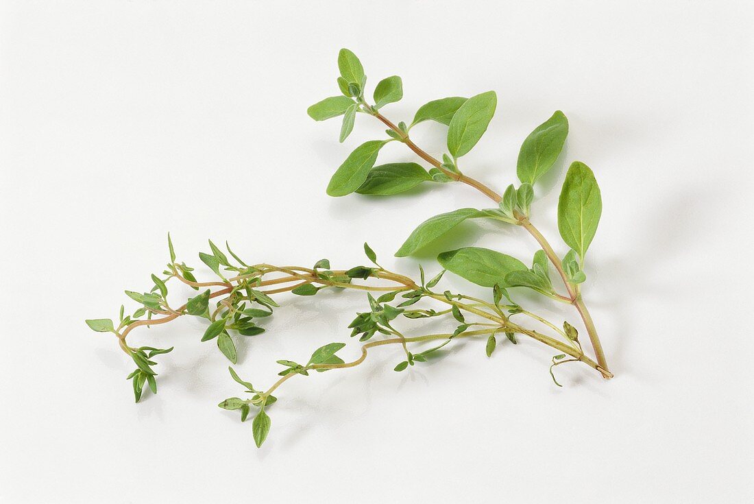 Marjoram & Thyme