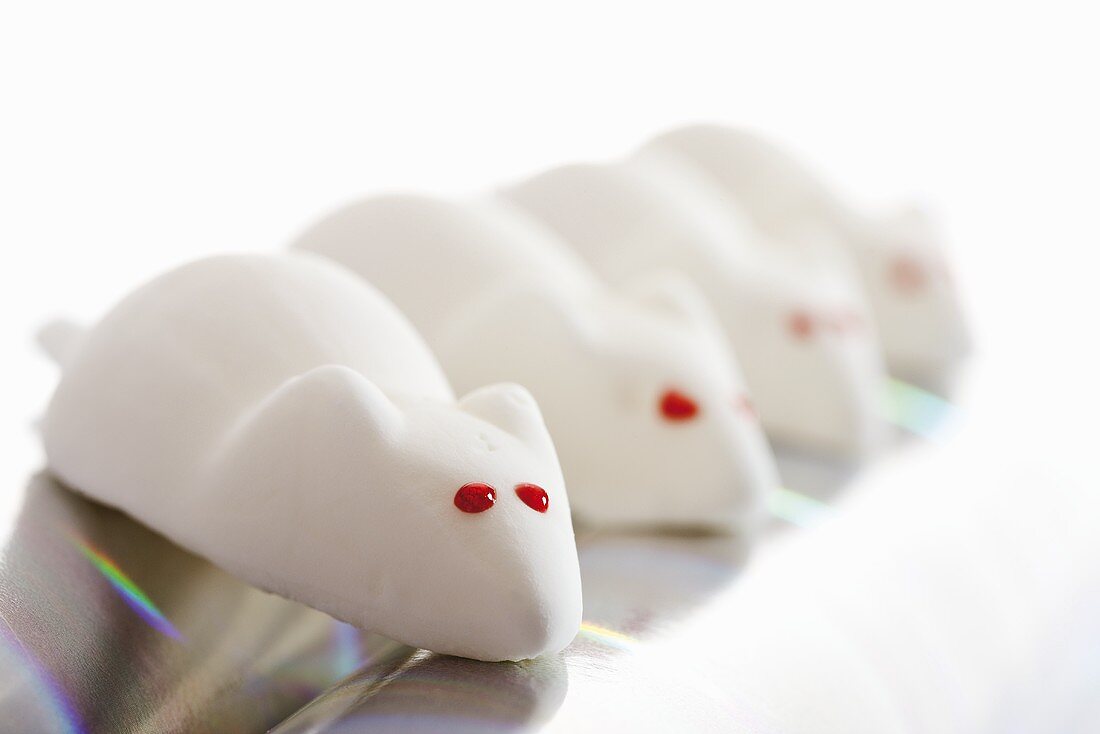 Marshmallow white mice