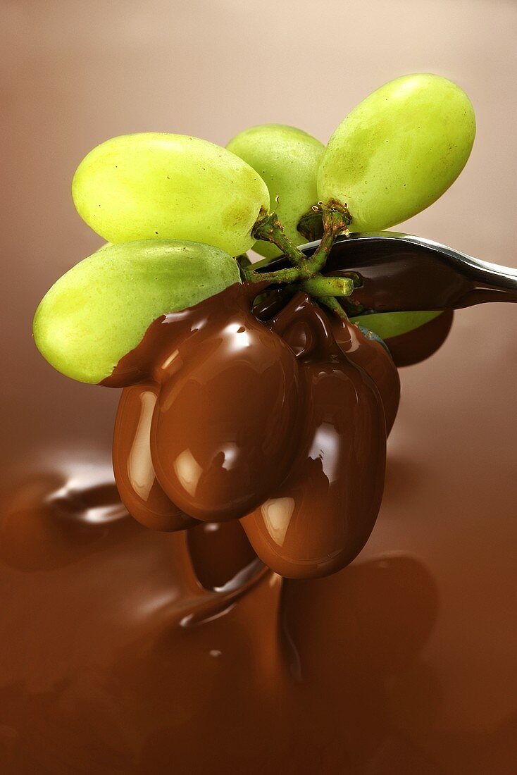 Grapes in chocolate sauce