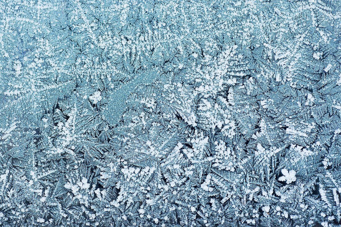 Frost patterns (full-frame)