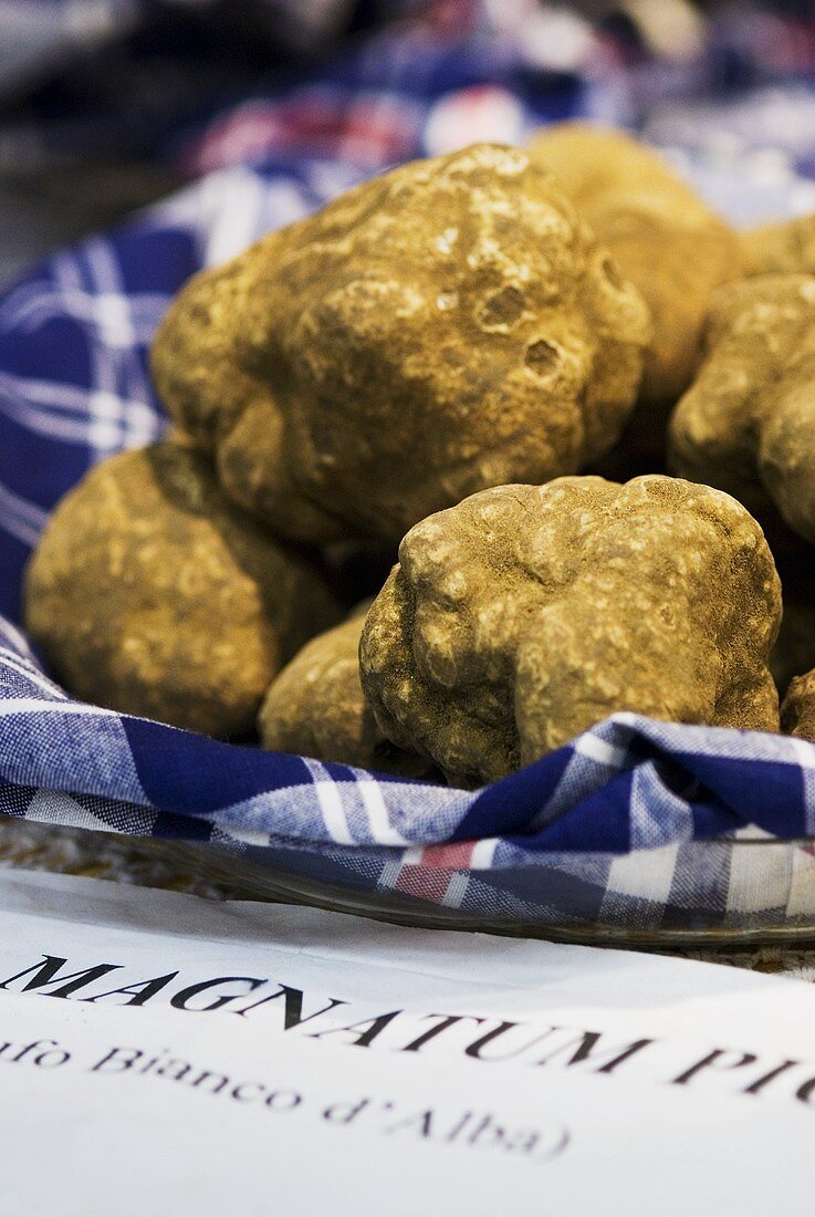 White truffles from Alba in Piedmont