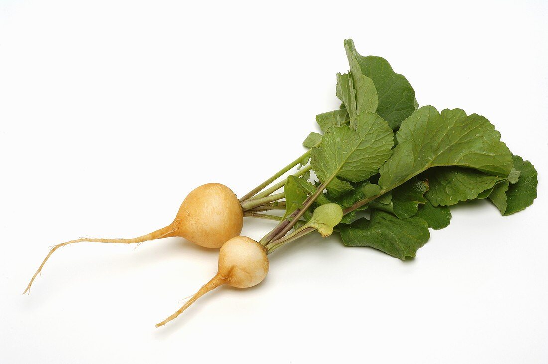 Two yellow radishes with leaves