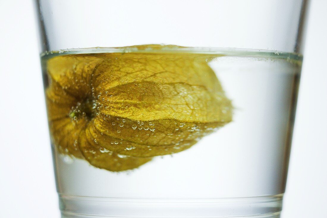 Unopened physalis in a glass of water