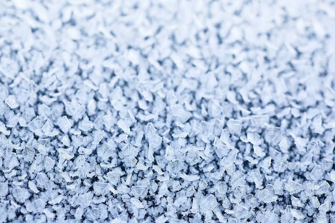 Hoar frost (full-frame)