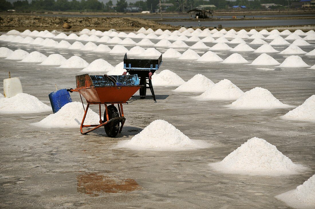 Salt pans in Thailand
