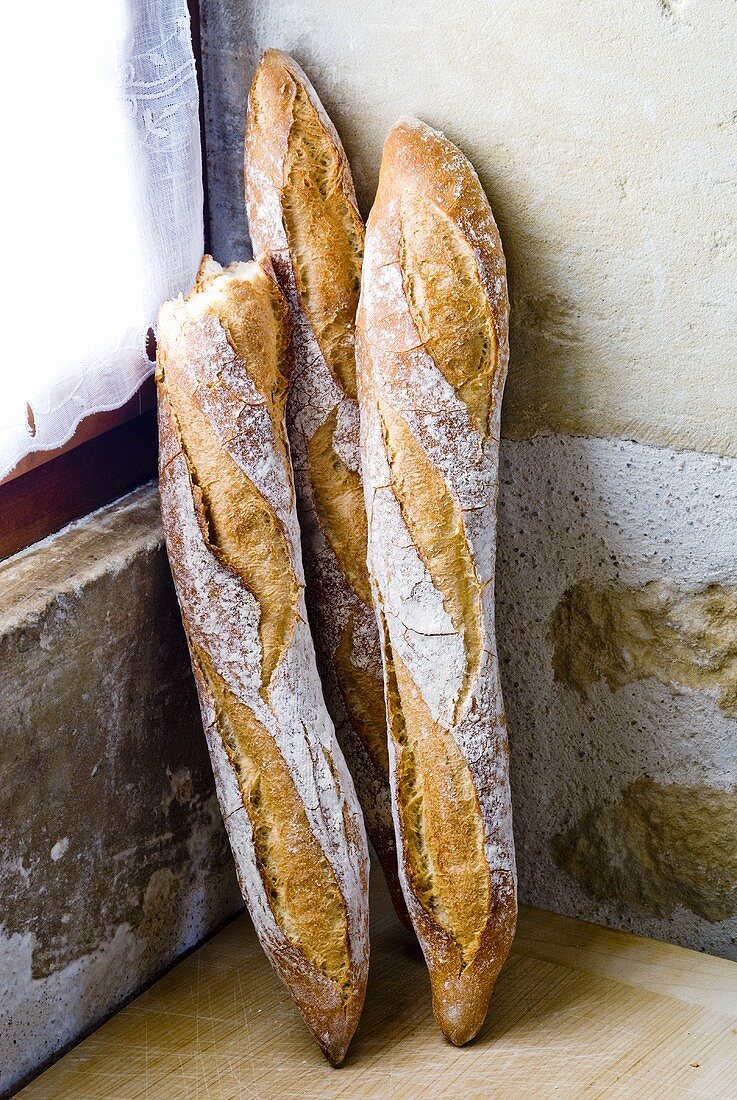 Frische Baguettes