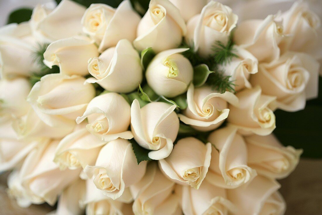 Wedding bouquet of white roses