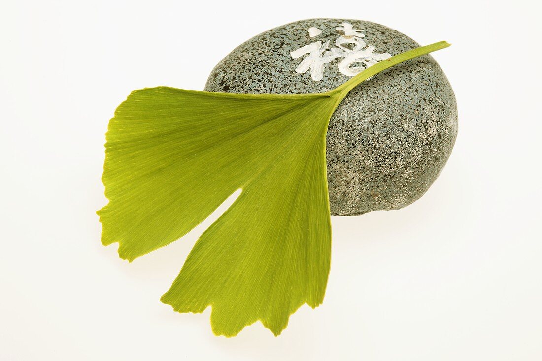 Ginkgoblatt und japanischer Stein (Wellness-Symbol)