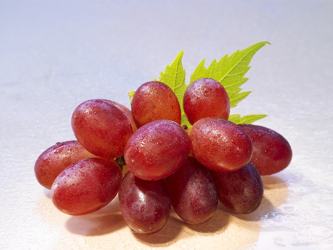 Red grapes with drops of water and leaf