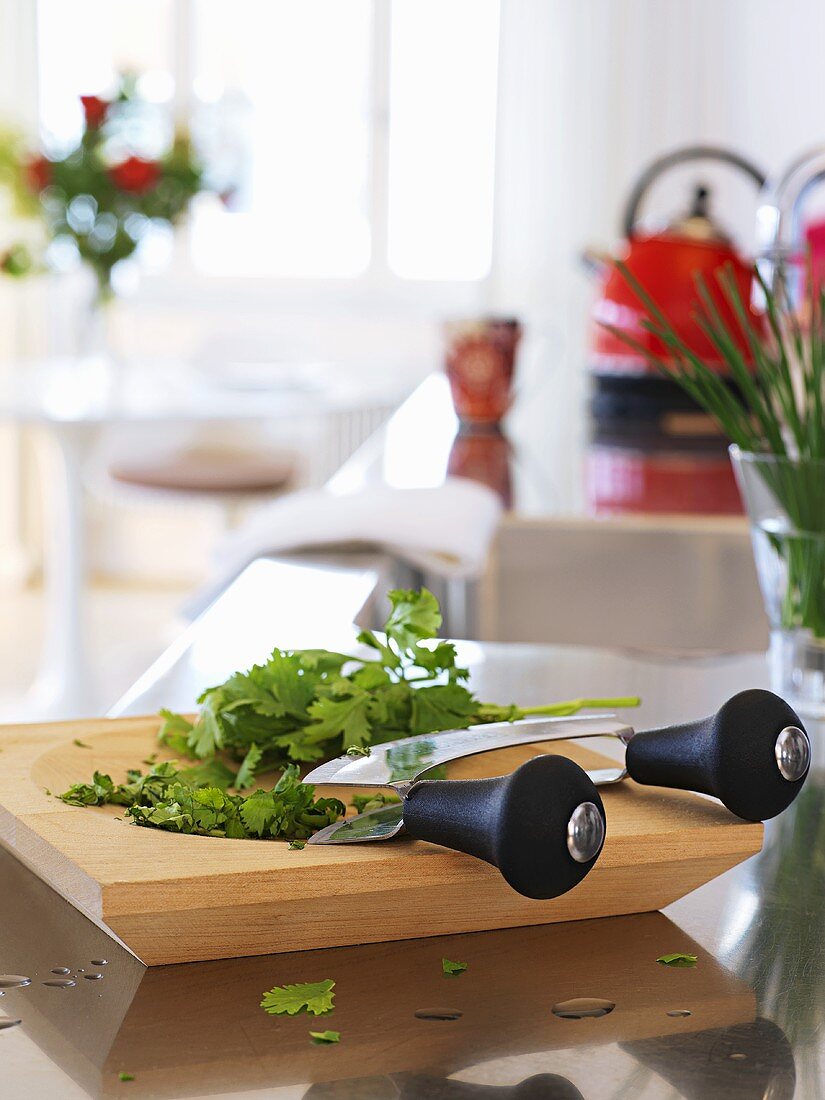 Fresh coriander with mezzaluna on chopping board in kitchen