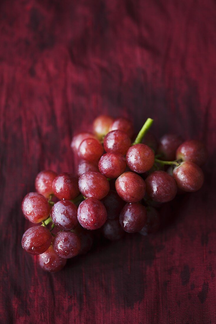 Red grapes with drops of water on dark red background