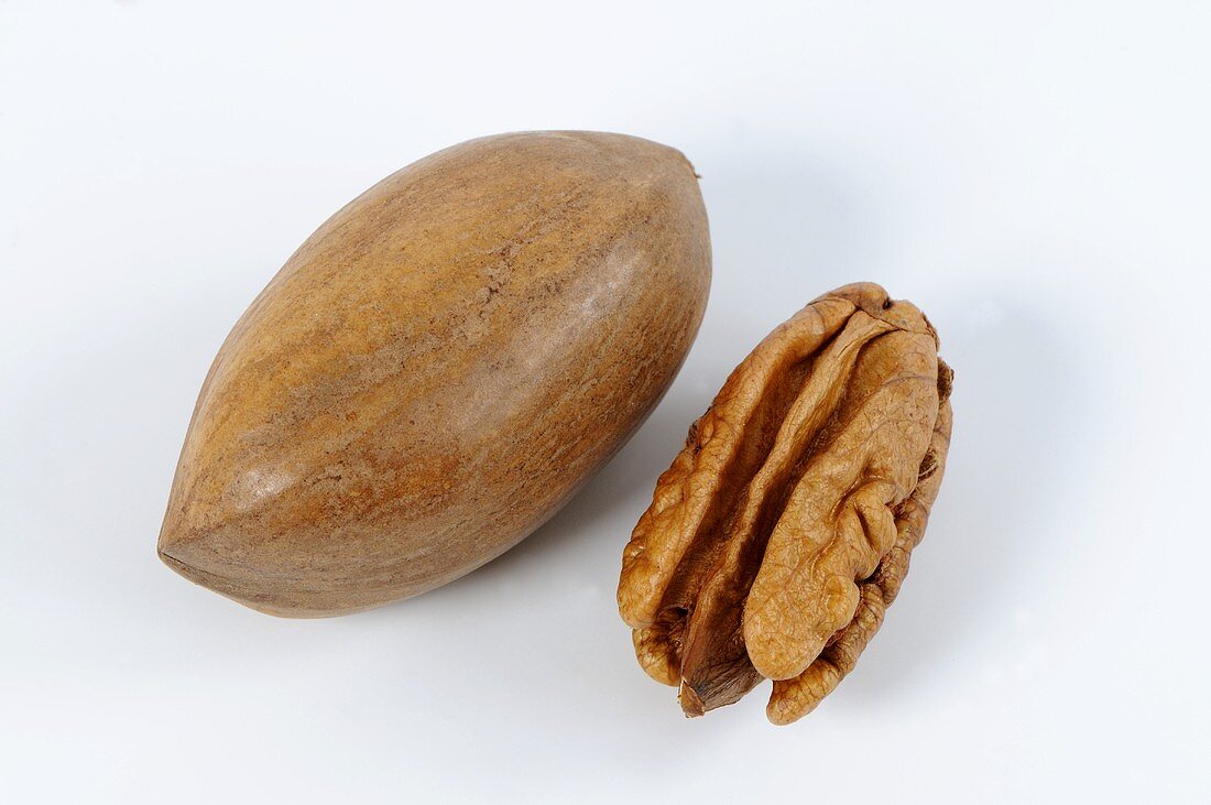 Pecan and shelled pecan