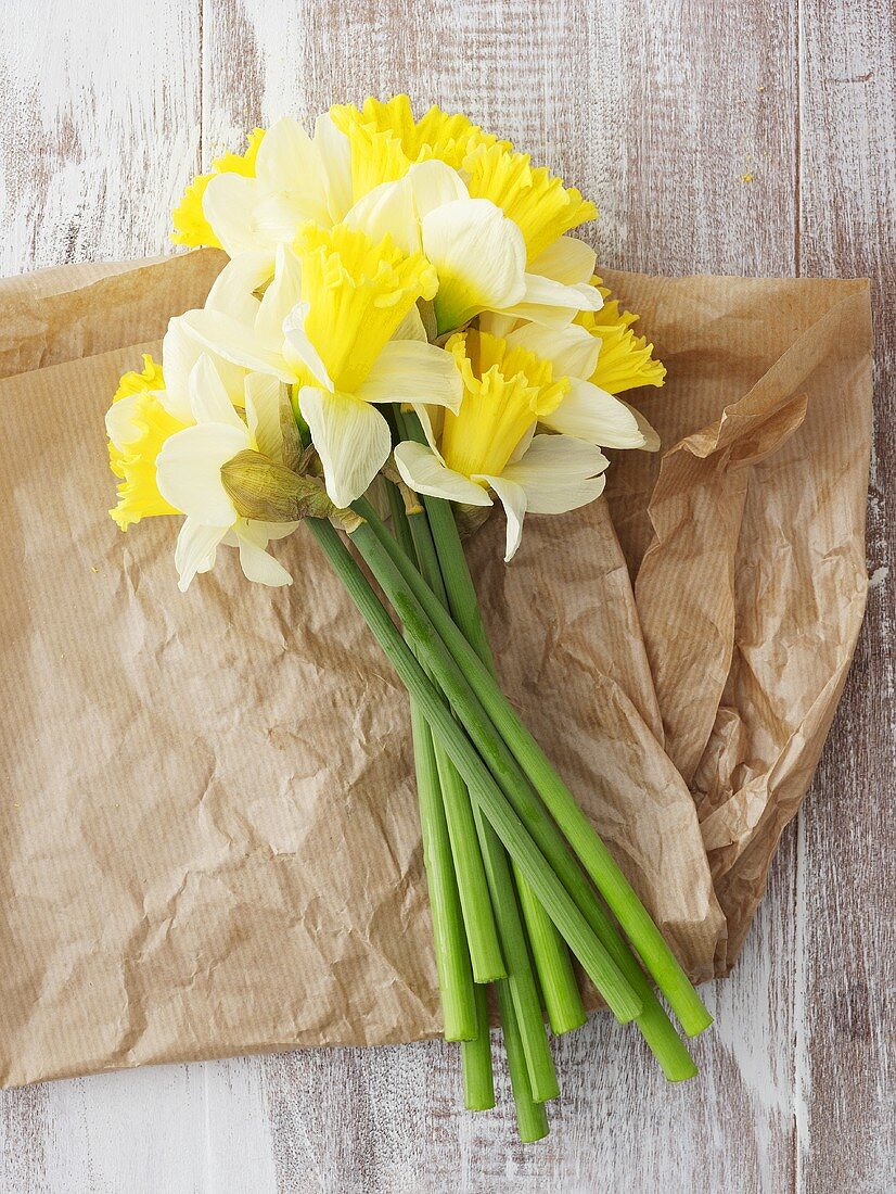 Narcissi on paper