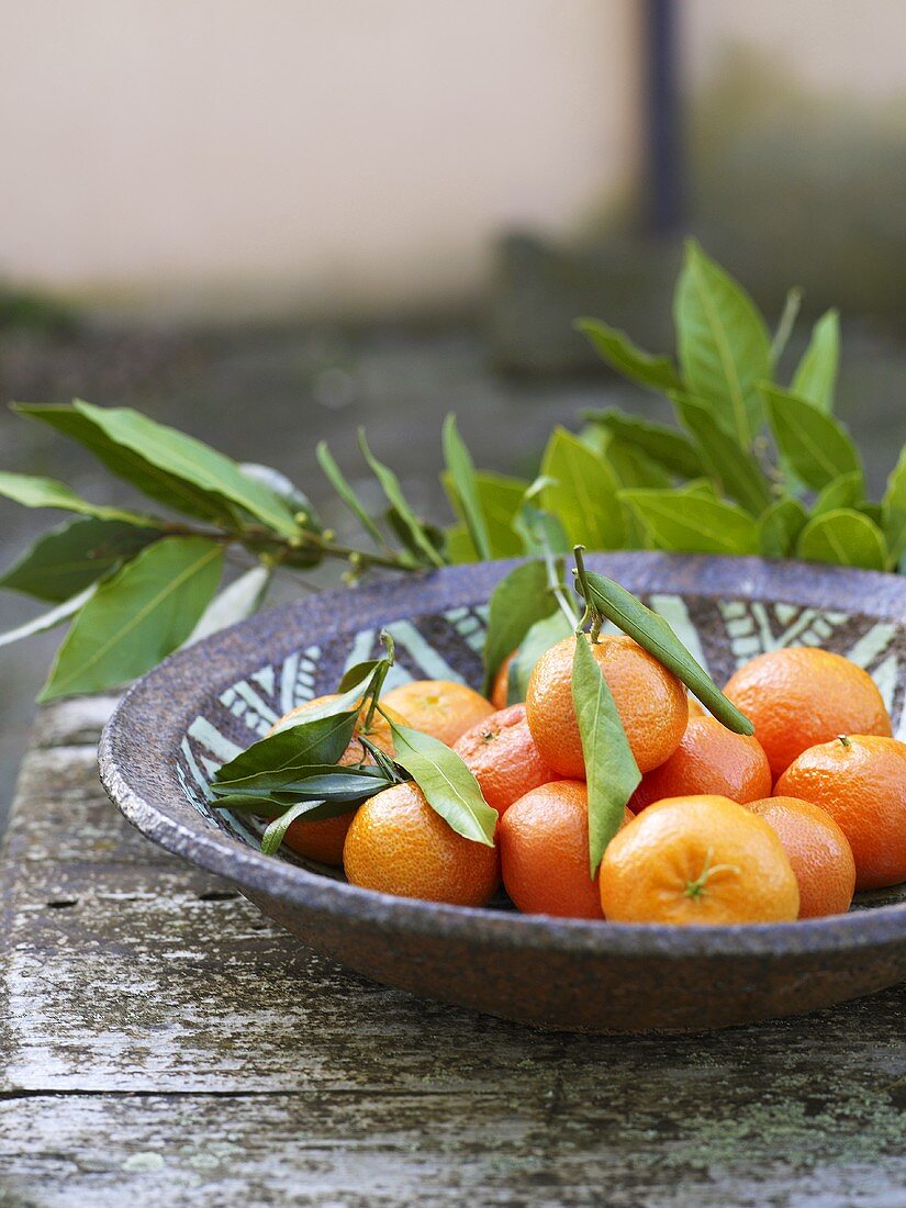 Mandarin oranges with leaves in ceramic dish