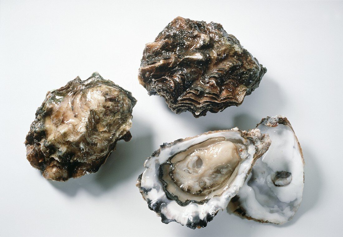 Fresh Oysters; One Opened