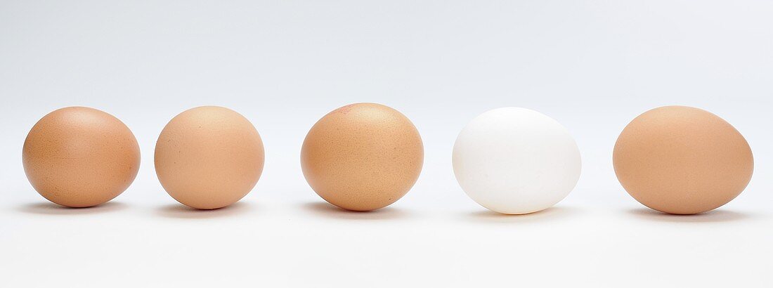 Several eggs in a row