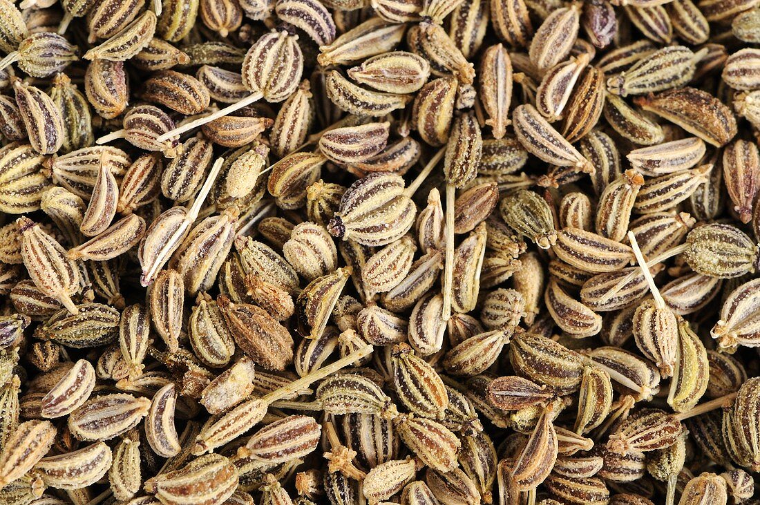 Ajwain (Ajowan caraway, India)