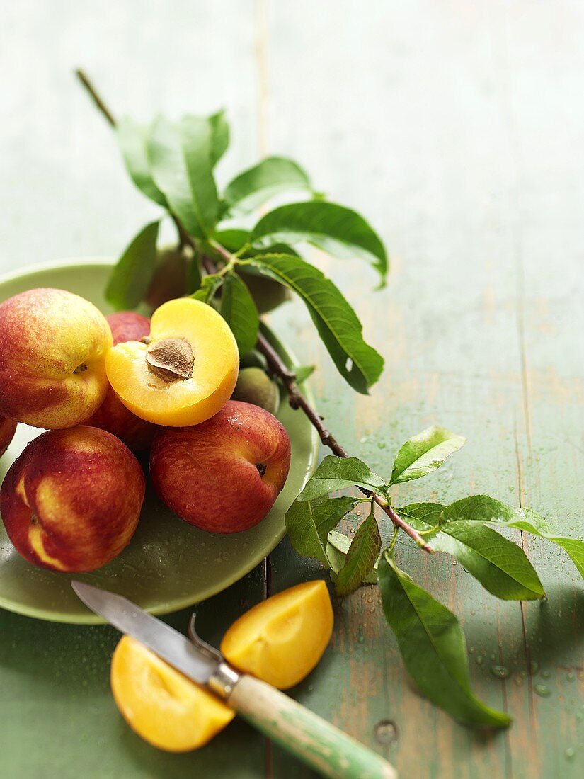 Nektarinen und ein Zweig mit unreifen Pfirsichen