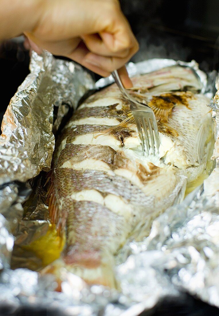 Sticking a fork into grilled fish